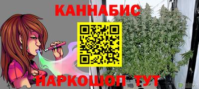 мяу мяу мука Будённовск